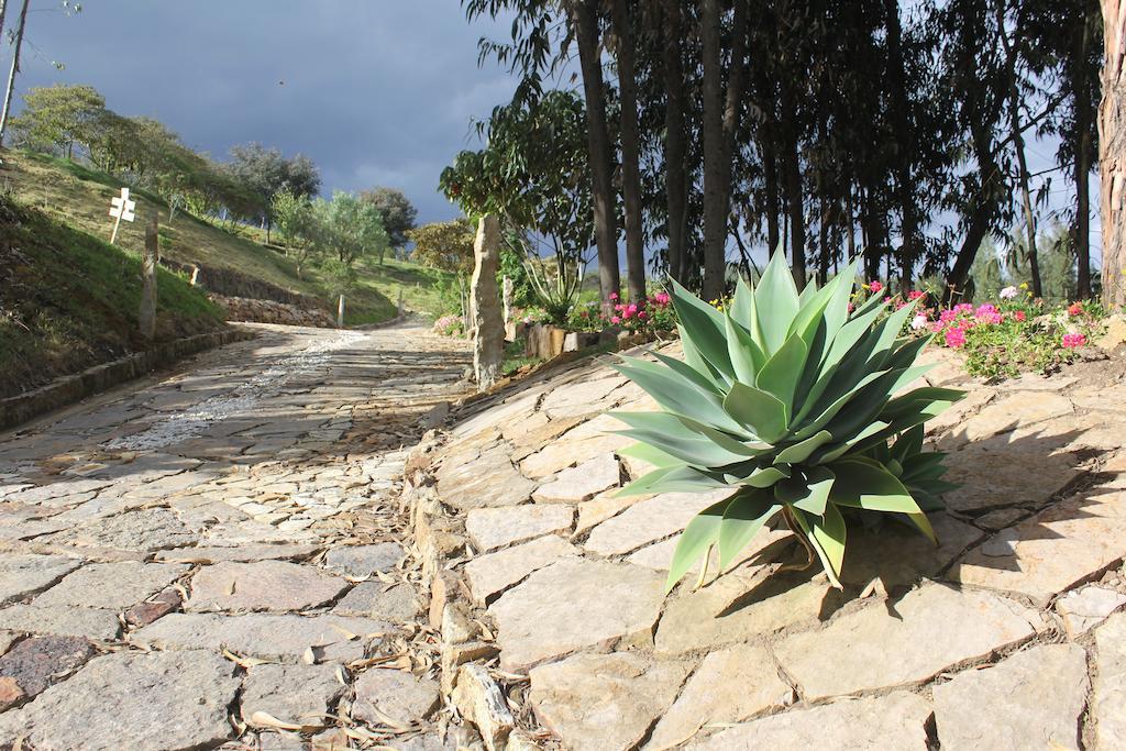 Bella Tierra Hotel Boutique Tibasosa Εξωτερικό φωτογραφία